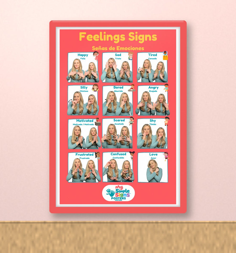 Feelings Signs poster in a classroom